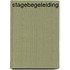 Stagebegeleiding