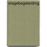 Stagebegeleiding door V. van Geel
