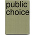 Public choice