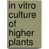 In vitro culture of higher plants