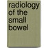 Radiology of the small bowel