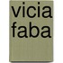 Vicia faba