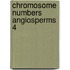 Chromosome numbers angiosperms 4