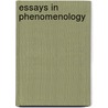 Essays in phenomenology door Onbekend