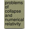 Problems of Collapse and Numerical Relativity door Bancel, D.