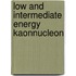 Low And Intermediate Energy KaonNucleon