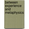 Between Experience and Metaphysics door Amsterdamski, S.