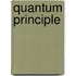 Quantum principle