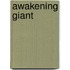 Awakening giant