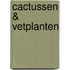Cactussen & vetplanten