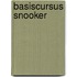 Basiscursus snooker