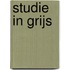 Studie in grijs