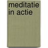 Meditatie in actie door Trungpa