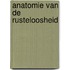Anatomie van de rusteloosheid