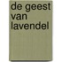 De geest van lavendel