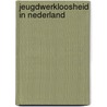Jeugdwerkloosheid in nederland door Stoffels