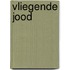 Vliegende jood