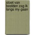 Stoet van beelden zag ik langs my gaan