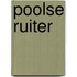 Poolse ruiter