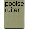 Poolse ruiter door Simon Vestdijk