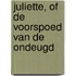 Juliette, of de voorspoed van de ondeugd