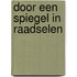 Door een spiegel in raadselen