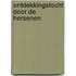 Ontdekkingstocht door de hersenen