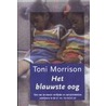 Het blauwste oog