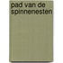 Pad van de spinnenesten