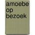 Amoebe op bezoek