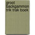 Groot backgammon trik trak boek
