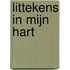 Littekens in mijn hart