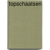 Topschaatsen by Willem Koomen