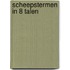 Scheepstermen in 8 talen