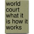 World court what it is how it works