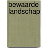 Bewaarde landschap door Onbekend