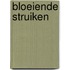 Bloeiende struiken