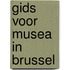 Gids voor musea in Brussel