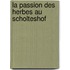 La passion des herbes au Scholteshof