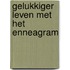 Gelukkiger leven met het Enneagram