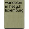 Wandelen in het g.h. luxemburg by Remoortere