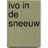 Ivo in de sneeuw