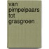 Van pimpelpaars tot grasgroen