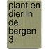 Plant en dier in de bergen 3
