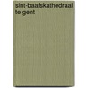 Sint-baafskathedraal te gent door Steffen W. Schmidt
