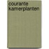 Courante kamerplanten