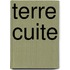 Terre cuite