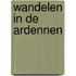 Wandelen in de ardennen