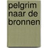 Pelgrim naar de bronnen