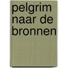 Pelgrim naar de bronnen door Demeyer